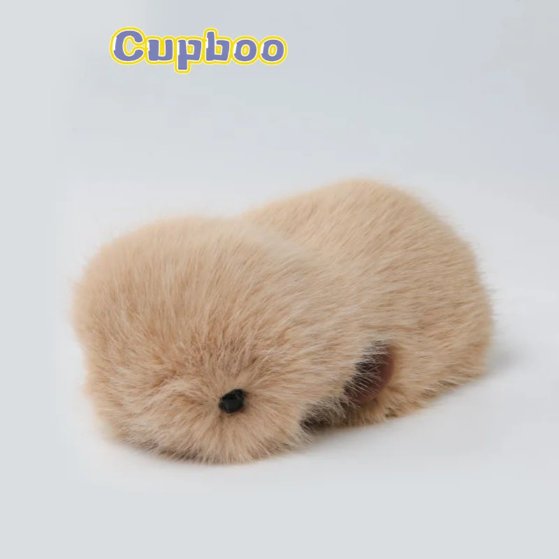 Cupboo