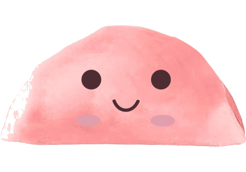 Gyoza squishy